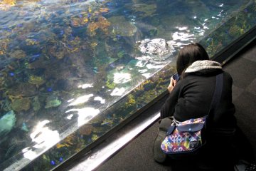 Almost everyone takes photos