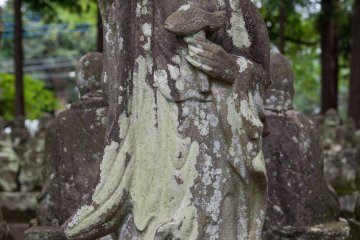 Covered in moss