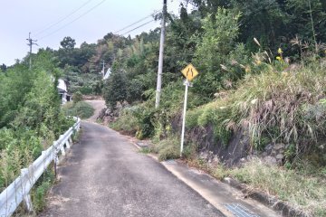 Lonely pilgrim road