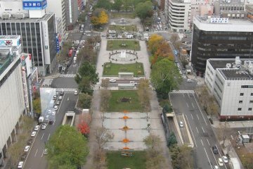 A daytime shot shows the park from above