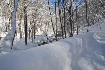 Winter Wonderland