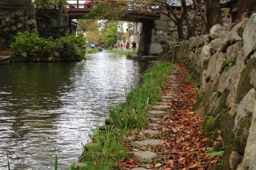 You can even walk by the canals. Look at those autumn leaves!