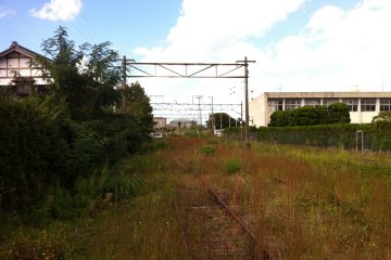 J'adore me promener sur des rails de train inutilisés, sur lesquels la nature a repris ses droits