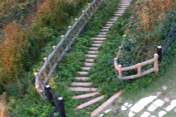 Les escaliers qui descendent sur la berge