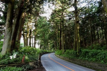 The road is not wide