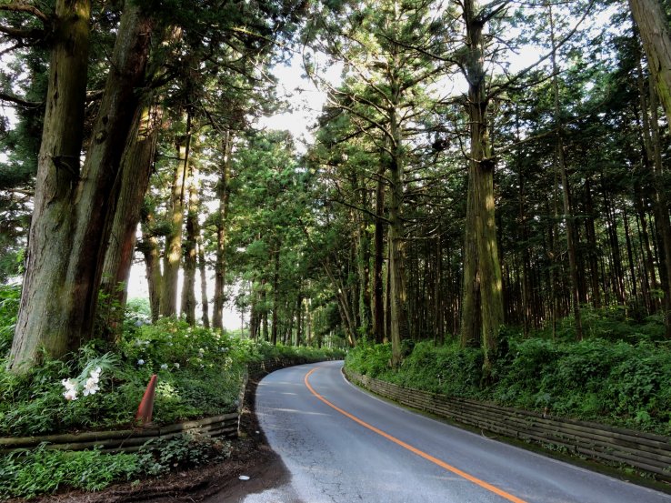 The road is not wide
