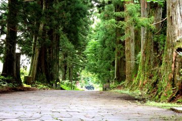 Some parts of the road have paving stones