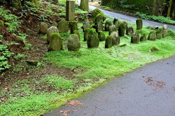 Mossy stone markers