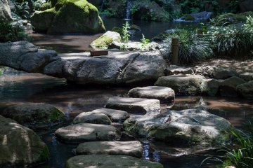 Crossing the stream