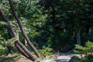 Paths are well-maintained