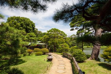 Following the path to the tea house