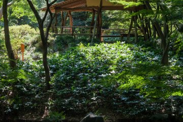 Fujishiro-toge