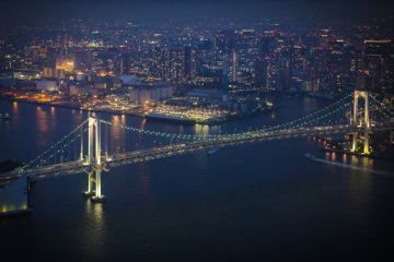 Panoramic Helicopter Tour Over Tokyo