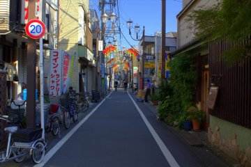 Typical shopping street in the area
