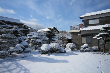 External appearance in winter