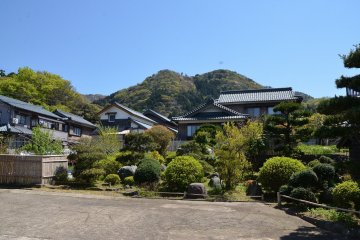 View of the village in early summer