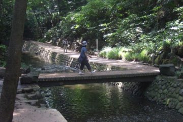 Bridge over untroubled water