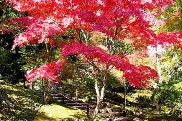 The gardens come alive in the spring.