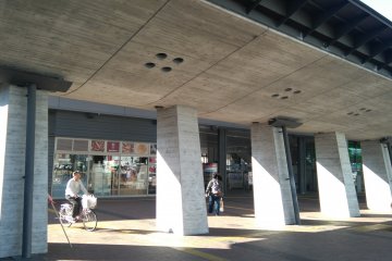 Whale design of Kochi station roof