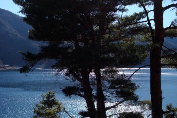 Lake Saiko, just west of Lake Kawaguchiko