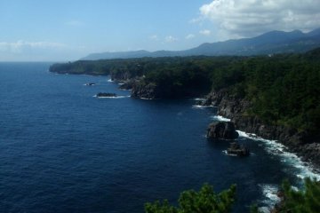 Another view of the trees and the cliffs
