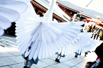 Des danseurs ouvrent leurs ailes