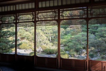 The fabulous views of the garden