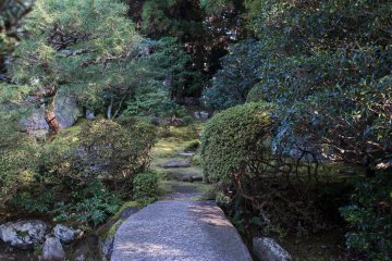 The path to the back of the property