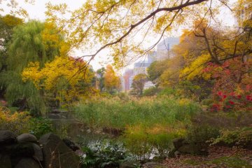 Taman Hibiya sangat indah di musim gugur