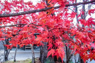  The bright colors continued when getting off the bus stop and walking up the main road towards the World Famous Heritage site