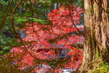 An alternative view of this colorful temple from the side