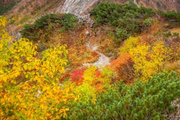  The vivid colors will greet you when passing by Naka-dake 