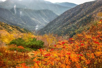 A little further on towards Kiso-koma-ga-take the colors become even more vibrant