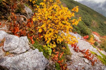   Some of the many vibrant colors that I encountered along these rugged peaks