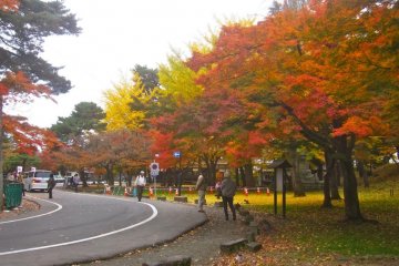 The foliage inside the north gate