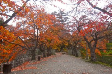 Road to the west gate