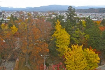 Looking north from the observation deck