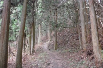 On the way up