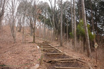 Steep but easy climb