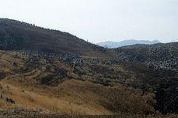 Karst Topography of Akiyoshidai.