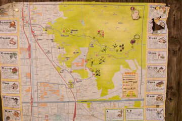I found my way back down a mountain by translating this map