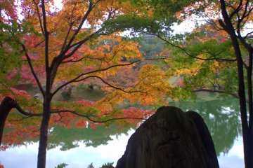 Fall colors light up shaded paths 