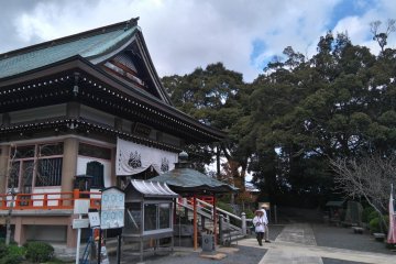 Enlightenment In Ehime