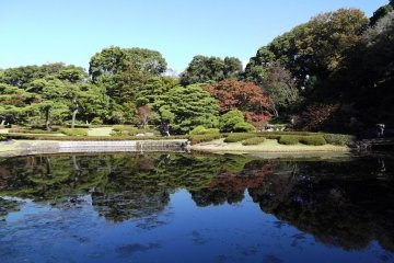 <p>A reflection in the pond</p>