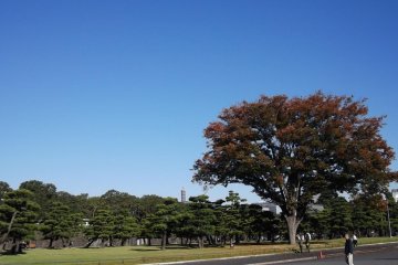 <p>Before you get into the garden itself there's the spacious Imperial Plaza</p>