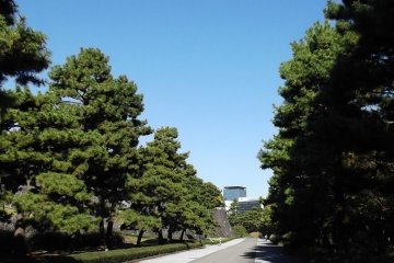 <p>On the straight and narrow</p>