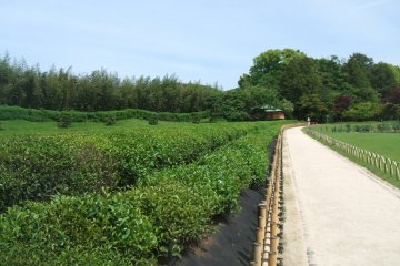 Un sentier du Koraku-en