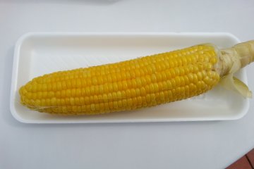 Jagung Hokkaido 