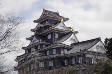 The Castle