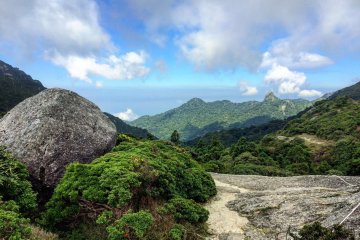 ภูเขามิยะโนะอุระในยะคุชิมะ